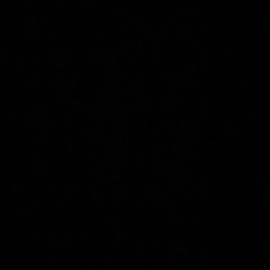 Meet your Posher, Tylee